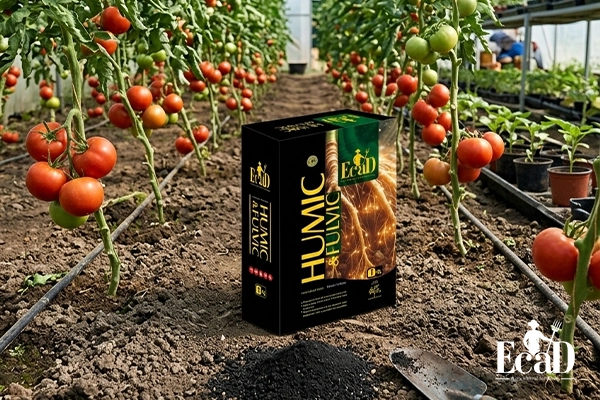 هیومیک اسید پودری
